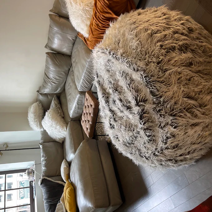 【Furniture】Greyleigh Teen Large Classic Bean Bag