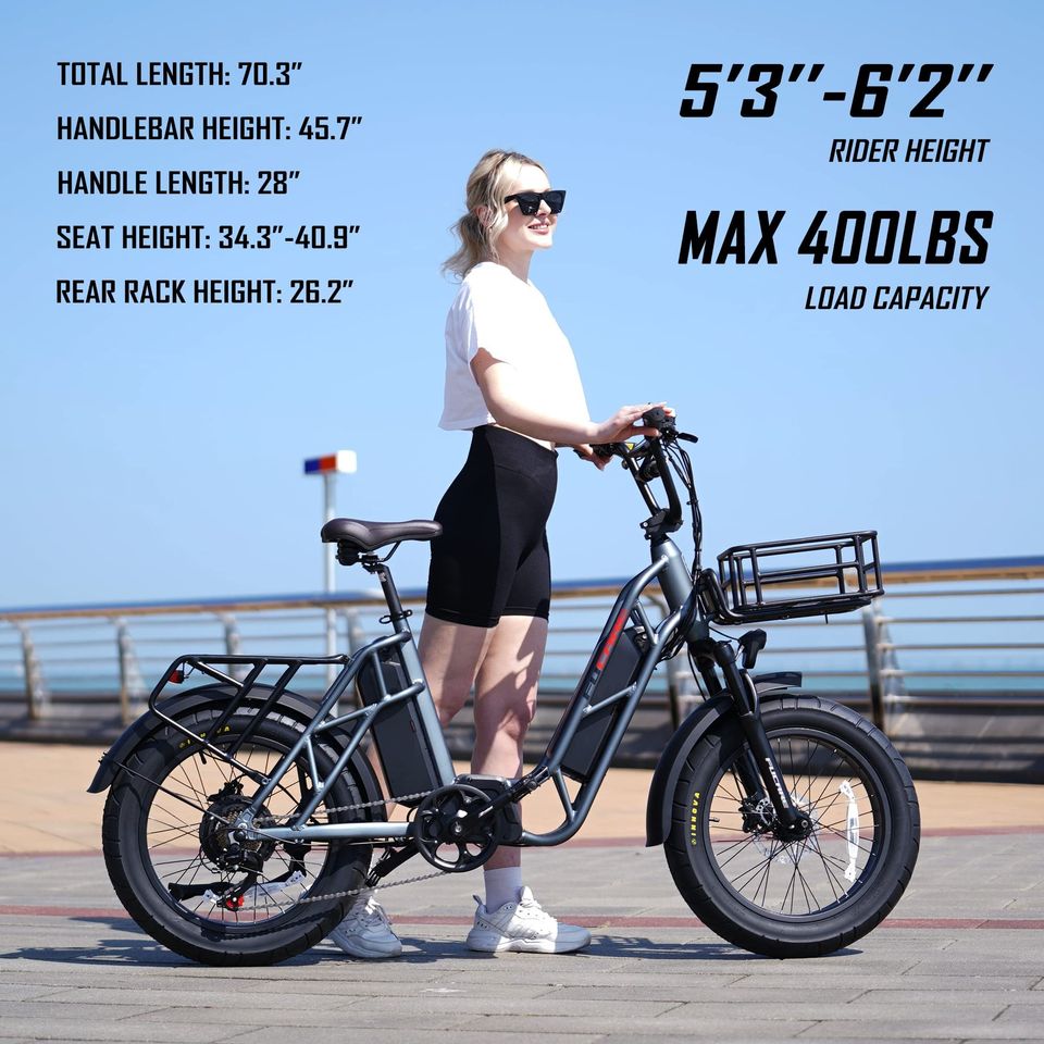 750W Electric Bike for Adults, 20'' Ebike 48V 20.8AHDual Removable Lithium Batt.
